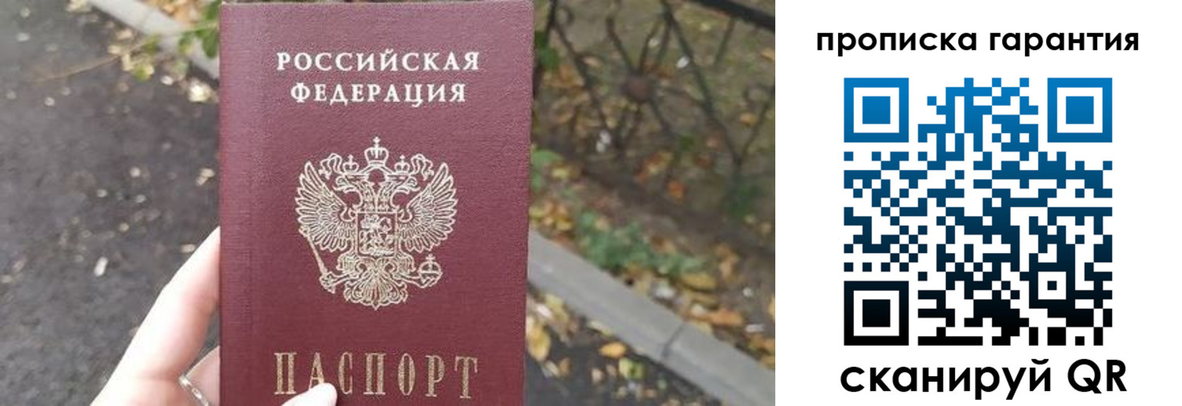 где прописаться в Александровске